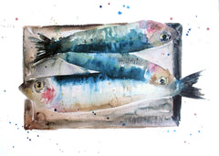 Animals Fish - Market Mackerel Unframed