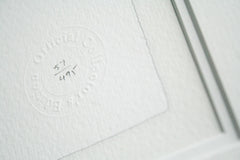 Print - A Dog's Life It Wasn't Me