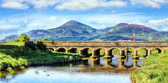 Co Down - 12 Arches Bridge Newcastle