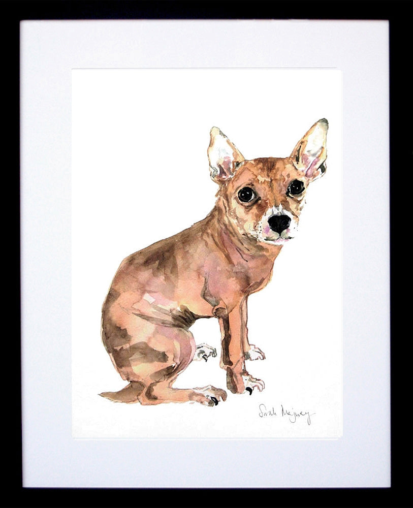 Animals Dog - 8lb Pooch Frame Black