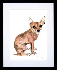 Animals Dog - 8lb Pooch Frame Black