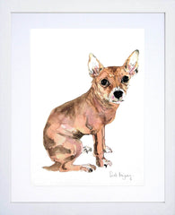 Animals Dog - 8lb Pooch White Frame