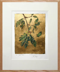 The Lost Words - Acorn Premium Edition Artist Proof