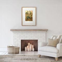 The Lost Words - Acorn Premium Edition Artist Proof