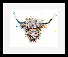 Print Ltd Edition Animals - Angus