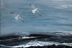Atlantic Gulls