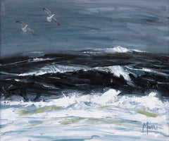 Atlantic Gulls