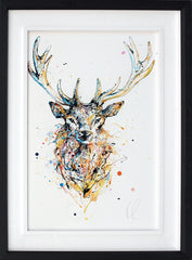 Original - Aura (Stag)