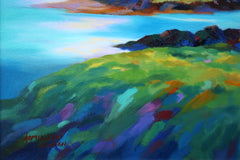 Ballymacormick Point, Bangor
