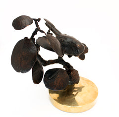 Blue Tit and Caterpillar