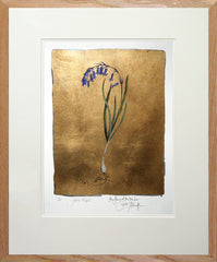 The Lost Words - Bluebell Premium Edition