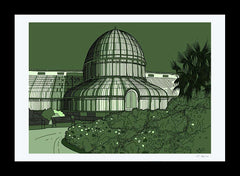 Series 1 - Botanic Gardens Belfast