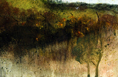 Brent Hide At Castle Espie