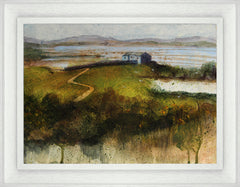 Brent Hide At Castle Espie