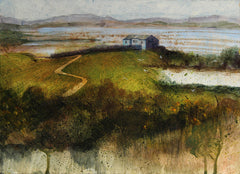 Brent Hide At Castle Espie