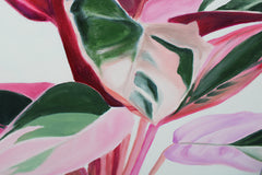 Bright Botanicals 2