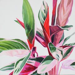 Bright Botanicals 2
