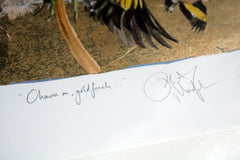 The Lost Words - Charm On, Goldfinch Premium Edition Artist Proof