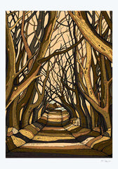 Series 1 - Dark Hedges