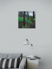 Forest Pathway, Cavehill