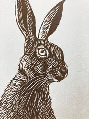 Irish Hare - Grey-Brown