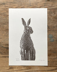 Irish Hare - Grey-Brown
