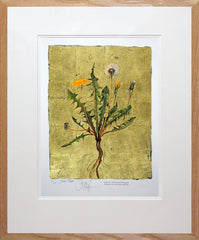 The Lost Words - Dandelion Premium Edition Artist Proof