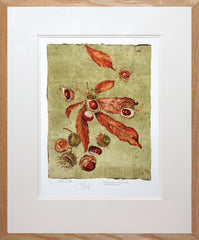 The Lost Words - Conker