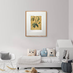 The Lost Words - Acorn