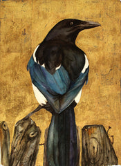 The Lost Words - Magpie