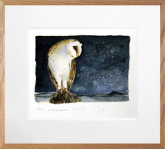 The Lost Spells - Barn Owl Artist Proof