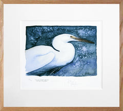 The Lost Spells - Little Egret