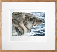 The Lost Spells - Grey Seal