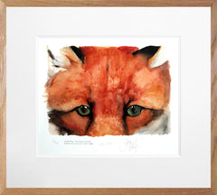 The Lost Spells - Red Fox