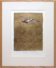 The Lost Words - Lark