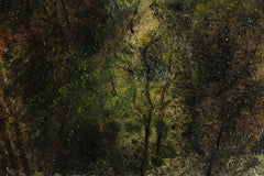 Late Afternoon At Castle Ward