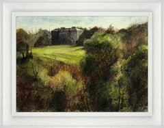 Late Afternoon At Castle Ward