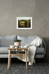 Late Afternoon At Castle Ward