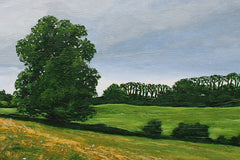 Nearly At Minnowburn