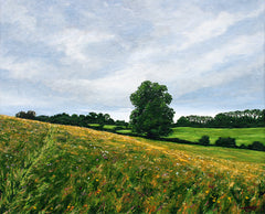 Nearly At Minnowburn