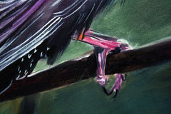 Starling