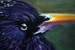 Starling