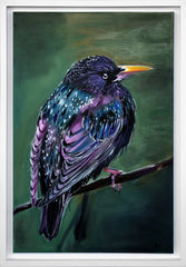Starling