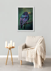 Starling