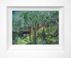 Original - Streeve Lane, Drenagh Estate