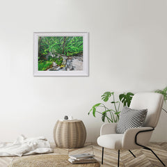 Sunlight At Foley's Bridge