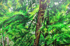 Sunlight At Foley's Bridge