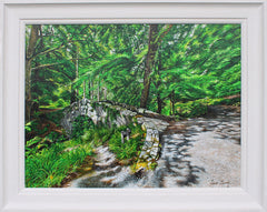 Sunlight At Foley's Bridge