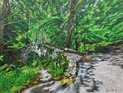 Sunlight At Foley's Bridge