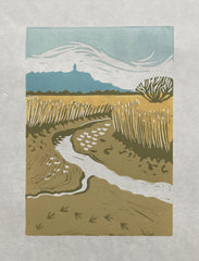 Tidal Creek